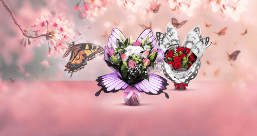 Butterfly Collection