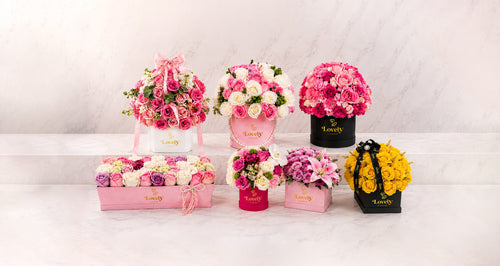 Lovely Fresh Flower Boxes