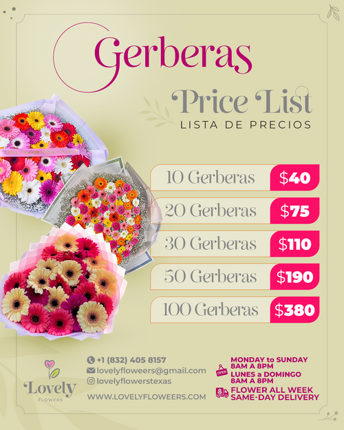 Gerbers Bouquets