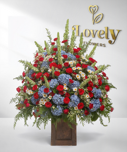 Vibrant Red and Blue Celebration