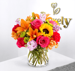 Hot Pink Roses & Sunflower Vase Arrangement