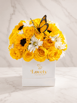 Butterfly Sunshine Garden Box