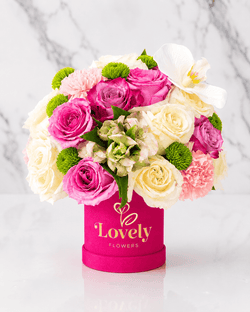 Fuchsia Bloom Orchid Box