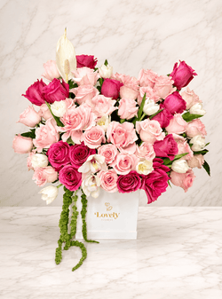 Blush Majesty 40 Rose Box