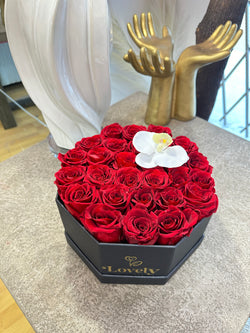 Full Rose hexagonal box everlasting roses