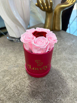 Small Round Pink Box