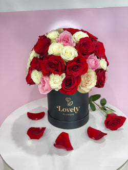 Medium Size Round Box