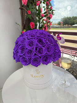 50 Purple Everlasting Roses