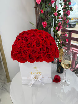 50 Red Rose in square Box
