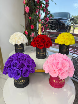 25 Yellow Everlasting Rose Box