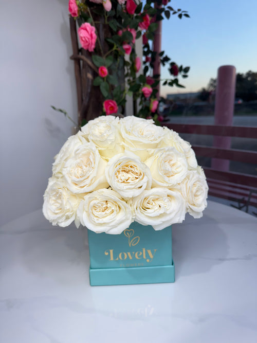 25 White Rose clear blue box