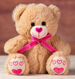 Small Teddy Bear ($10)