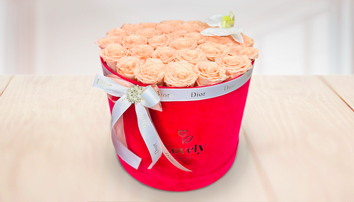 Caja grande redonda de terciopelo con rosas de la eternidad