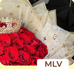 Lv Mesh