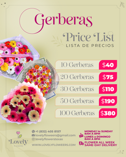Gerbers Bouquet
