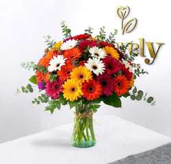 Vibrant Garden Gerbera Vase