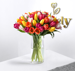 Premium Mixed Tulips Bouquet | Lovely Flowers