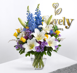 Radiant Daydream Arrangement